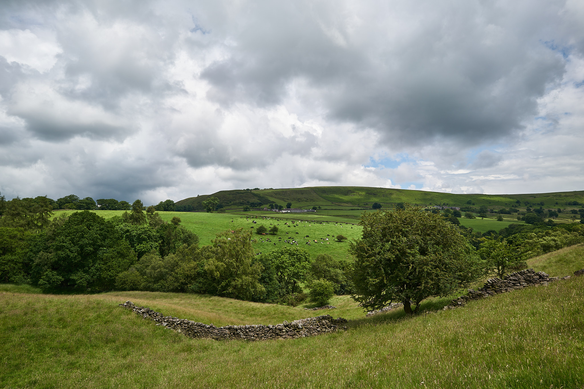 Yorkshire
