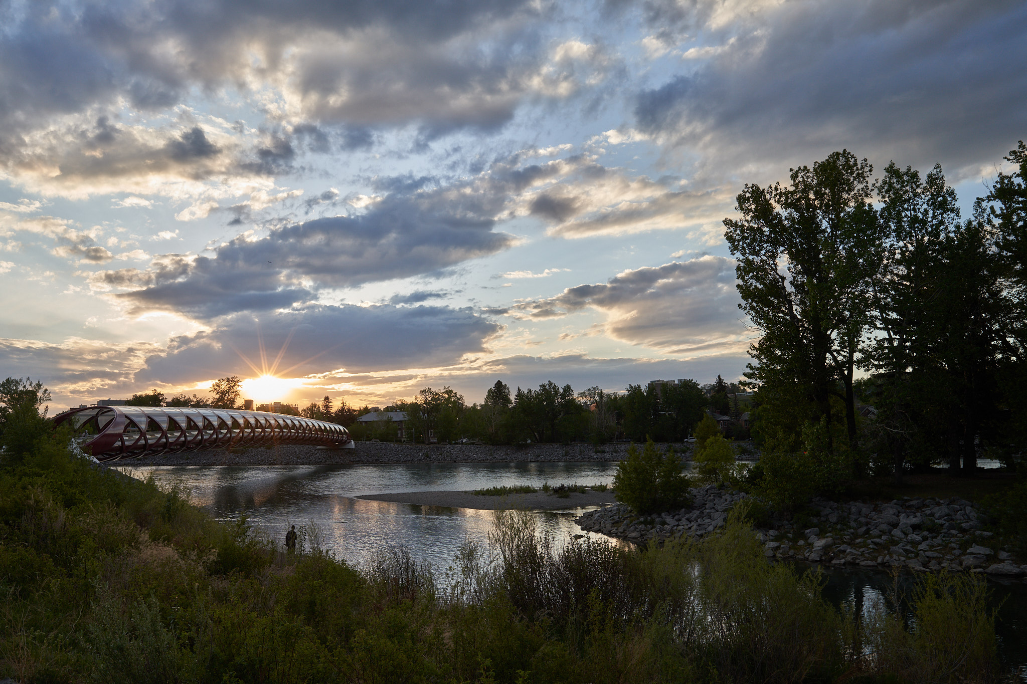 Peace Bridge